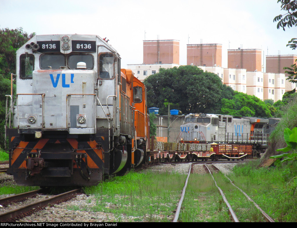 VLI 8136